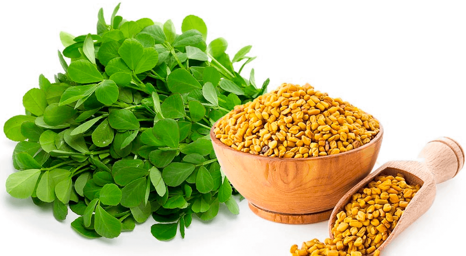 Testofen fenugreek extract testosterone supplement