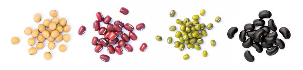 What is the Bean Protocol